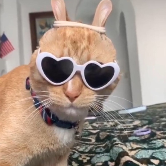 Meet your Posher, Soukaina - Picture 1 of 1